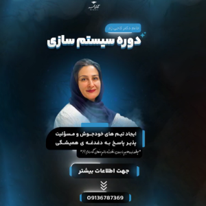 دوره سیستم سازی